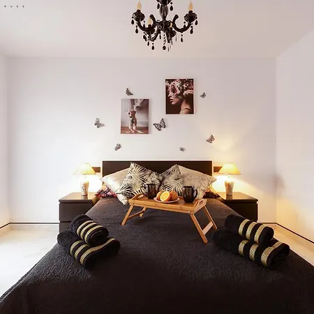 Calle Maestro Parada * Torrevieja