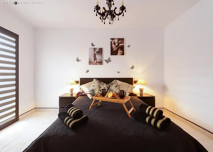 Calle Maestro Parada * Torrevieja